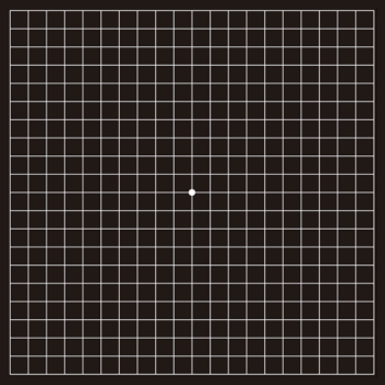 Amsler test grid black version