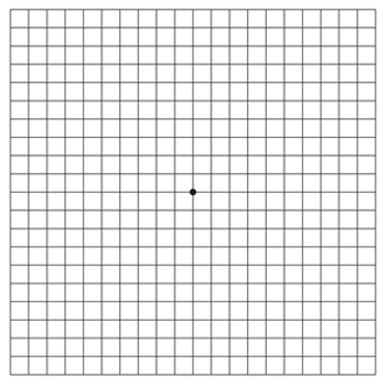 Amsler test grid white version
