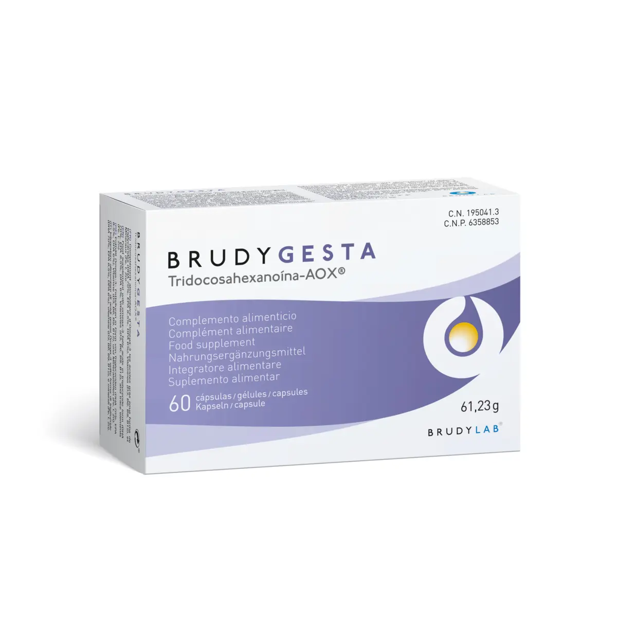 BRUDYGESTA