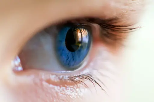Productos para Salud Ocular