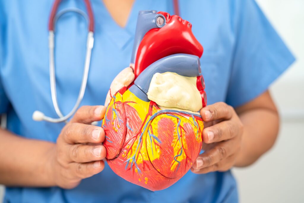 El ácido docosahexaenoico (DHA) es un ácido graso omega-3 esencial para la salud cardiovascular